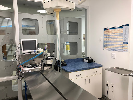North Naples Veterinary Hospital Gallery - United States