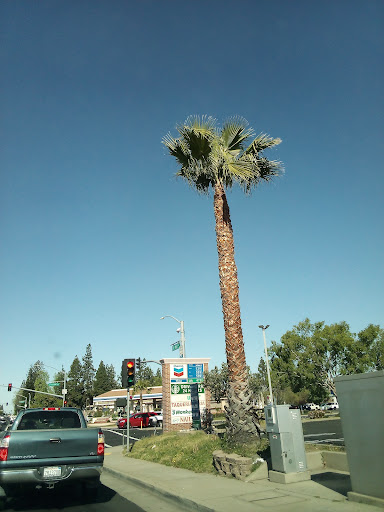 City Of Roseville Gallery - United States