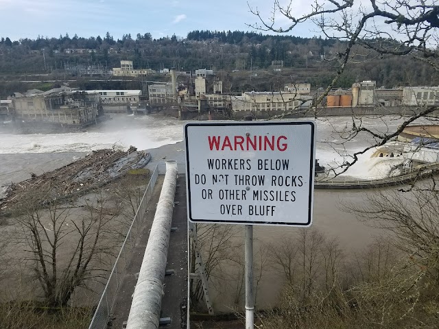 Willamette Falls