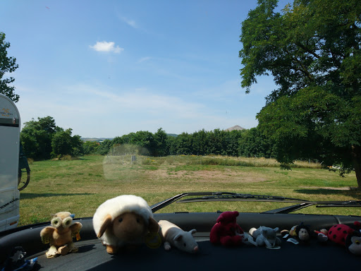 Hundewiese - Thumbnail