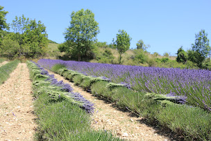 Photo n°1 de Couleurs Provence à Montguers (Boutique d'articles de mariage)