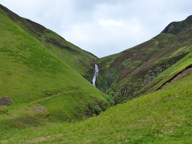 Place around image