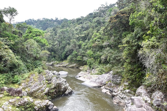 Parc national de Ranomafana