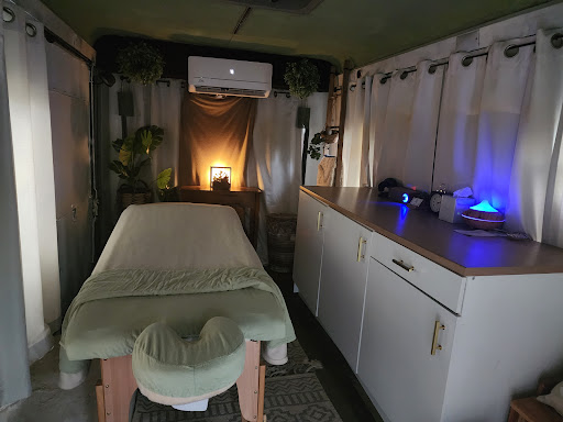 Destination Therapy Va