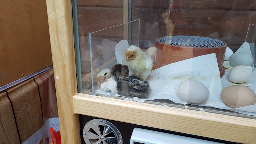 Gebrüder Vander Pflanzenmarkt OHG