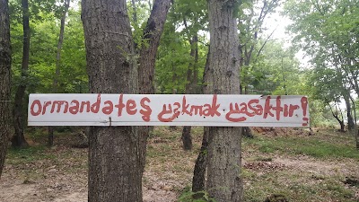 Photos of Seferoğul Campsite