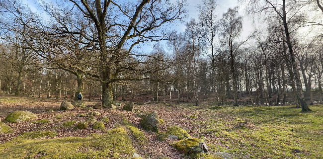 Åbningstider for Halskov Vænge Fortidsmindeskovs Museum