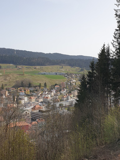 Photo de Fondation La Résidence, Le Locle à Villers-le-Lac (25130)