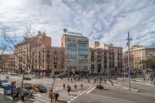 Forcadell Granollers