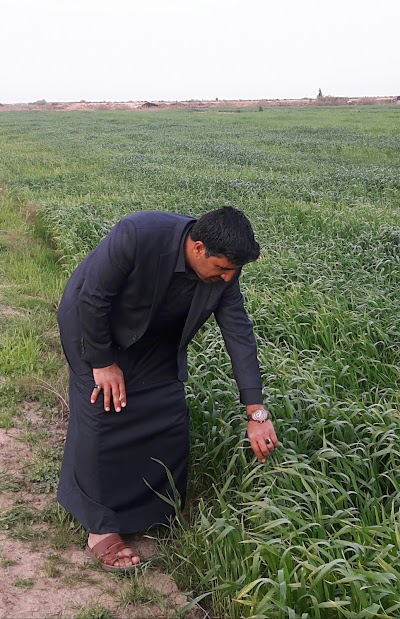 Photos of ارض المرح