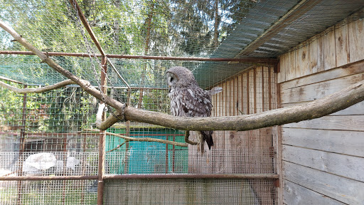 Mini Zoo Rozite - Thumbnail