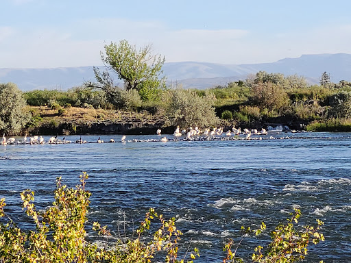 Minidoka National Wildlife Refuge - Thumbnail