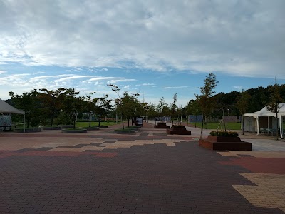 Photos of Dorasan Peace Park