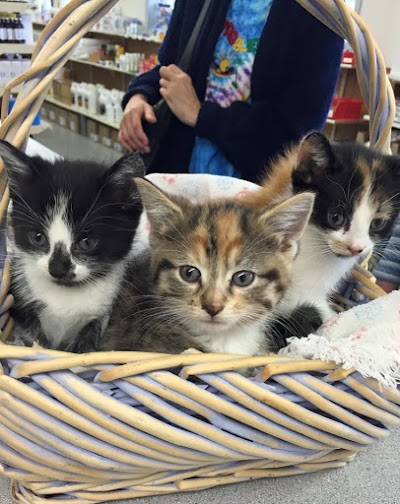 Photos of Postville Veterinary Clinic
