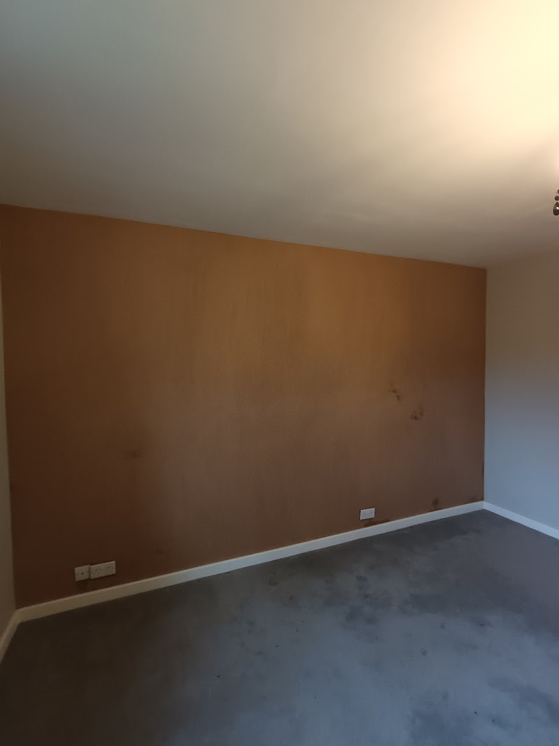 Big Mick Plasterer photo 2
