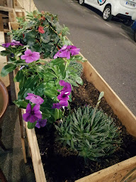 Photo n°15 de Le fer à cheval à Paris (Bistro)