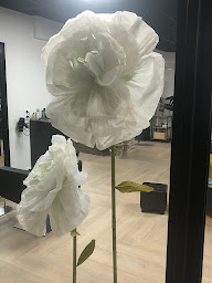 Photo n°12 de l'Atelier du Colisée à Villeneuve-de-la-Raho (Salon de coiffure)