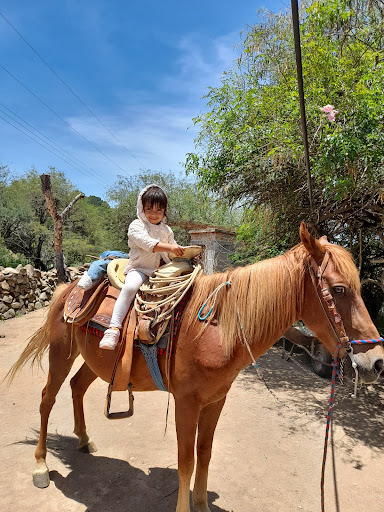 Rancho La Cuesta Del Gallo