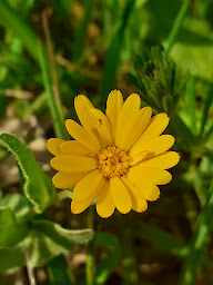 Photo n°3 de Aude Cousteix - Naturopathie du féminin à Gignac (Naturopathe)