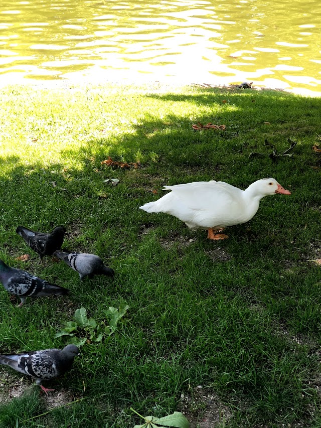 El Retiro Park