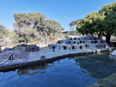 Penguin Island at The San Francisco Zoo