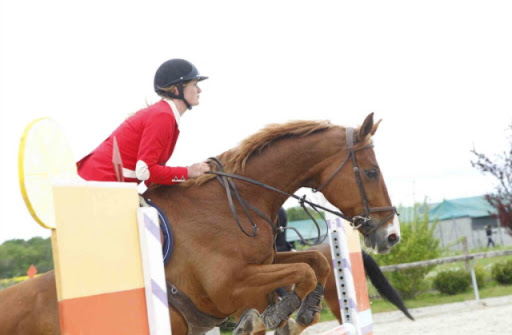 Stud Du Meix