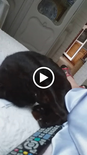 Photo de Résidence de France à Festubert (62149)