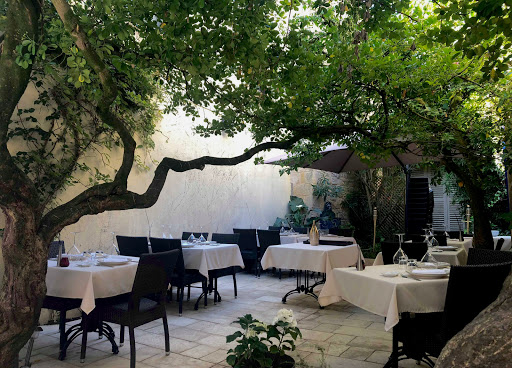 Photo de L'Huitrier Pie