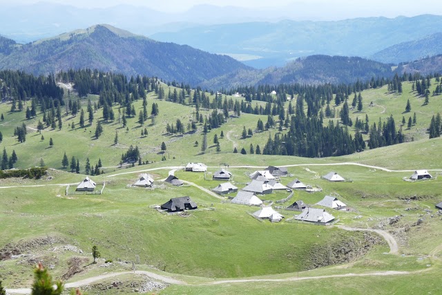 Place around image