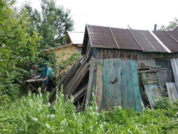 Соколовка Рязанская область. Соколовка Рязань. Дачи малая Соколовка. Кадастровые инженеры Соколовка Рязань.