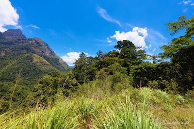 Photos of Knuckles mountain treks