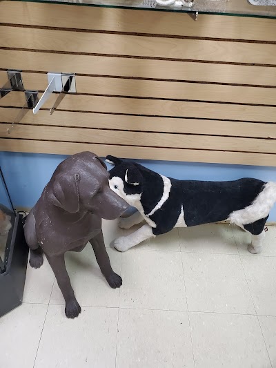 Canine Cookies N Cream Dog Bakery