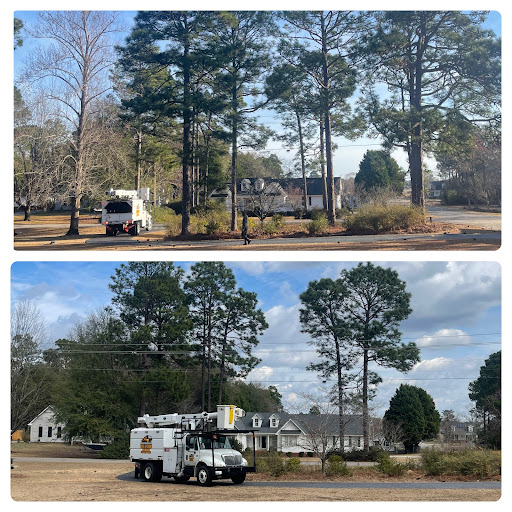 Premier Services Tree & Stump removal - Thumbnail