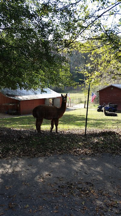 Blackberry Hill Alpacas