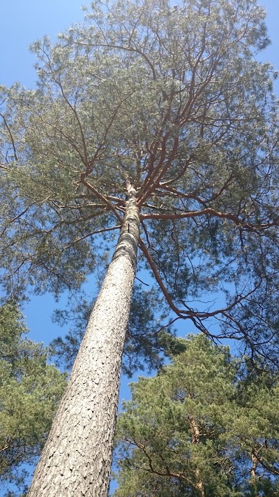 Photos of Ummelbad