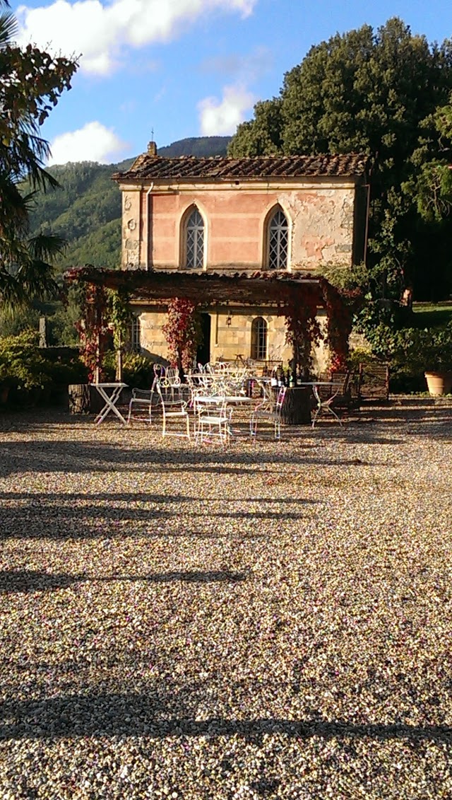 Tenuta Di Valgiano Snc Di Petrini & C.