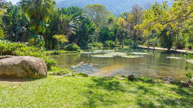 Jardim Botânico do Rio de Janeiro