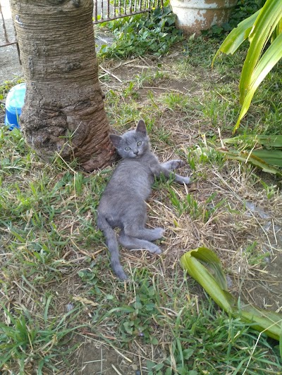 Photos of Eden Veterinary Clinic