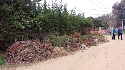 Photos of Municipality of El Tabo