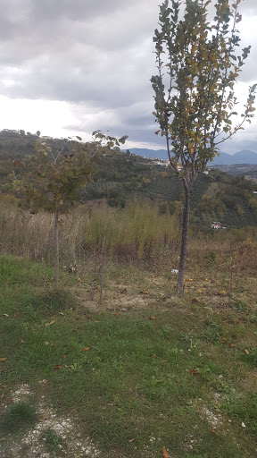 A.D.G. Impianti Di Valeriani Guido - Thumbnail