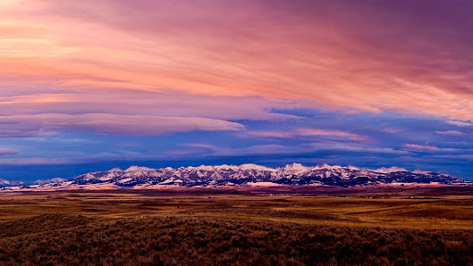 FNCH Financial and Consulting, LLC 802 N Wallace Ave Unit B, Bozeman, MT 59715, United States