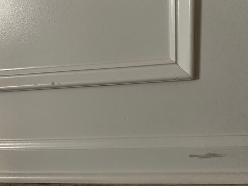 Sara's Home Painting - Thumbnail