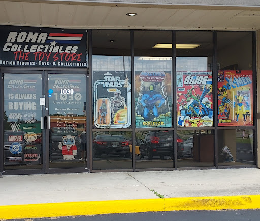 ROMA Collectibles: The Toy Store