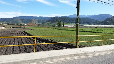Photos of Agro Servicios Multiples Castillo