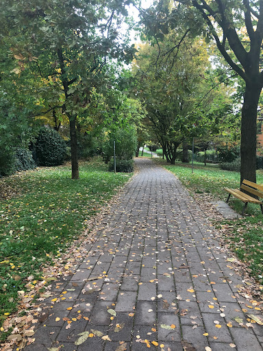 Parco Tabanelli - Visual