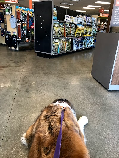 Petco