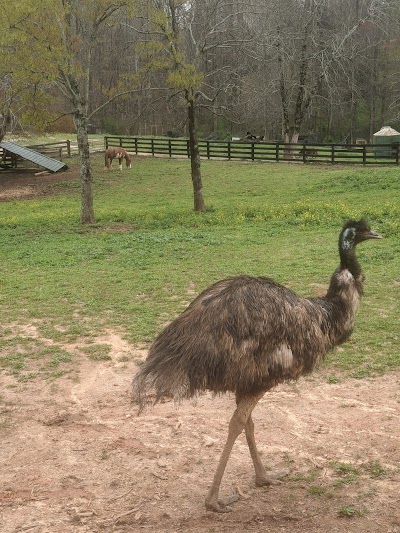 Chestatee Wildlife Preserve & Zoo