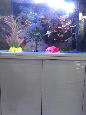 Ornamental Fish Aquarium, Author: Ellysmar Sulaiman