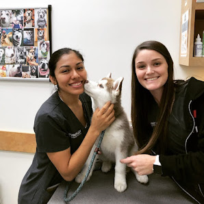 Photo of Irvine Valley Veterinary Hospital Emergency Del propietario