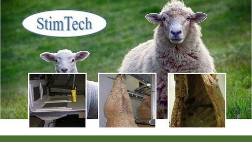 StimTech - Beef,Sheep processing electrical machinery|Beef,Sheep,Lamb Stimulation|Beef,Cattle immobilisation| Meat processing